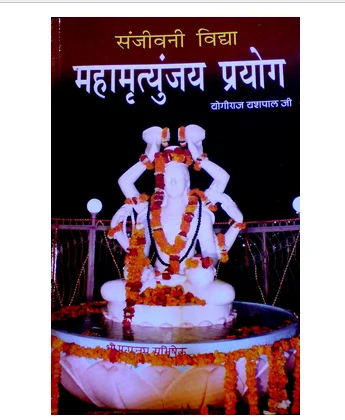 sanjivini vidya 3a mahamrityunjay prayog 500x500