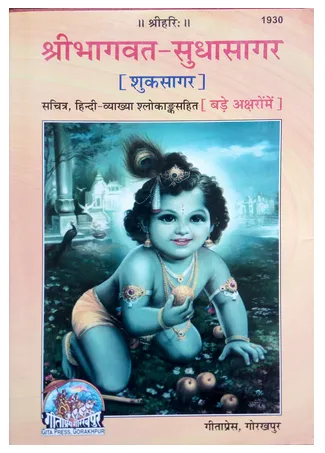 shri bhagwat sudhasagar 28shuksagar 29 book 1000x1000